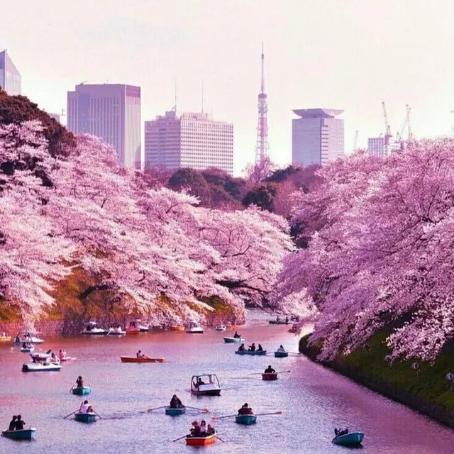 Tokyo