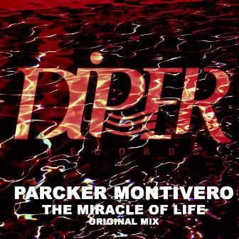 The Miracle Of Life by Parcker Montivero