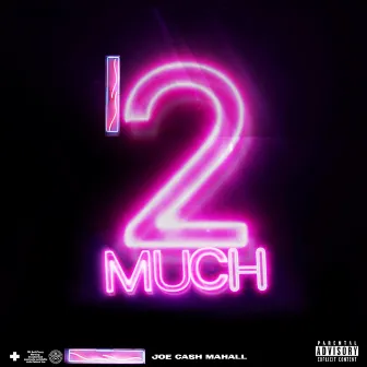 2 Much by Joe Cash Mahall