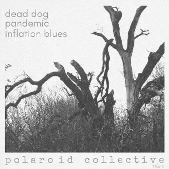 Dead Dog, Pandemic, Inflation Blues by Polaroid Collective