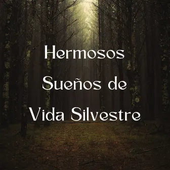 Hermosos Sueños De Vida Silvestre by Grabaciones de sonido de vida silvestre