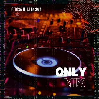 Celosa (Remix) by DJ Le Salt