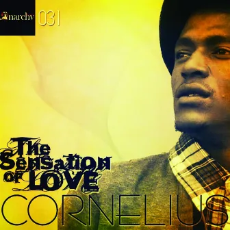 The Sensation of Love by Cornelius