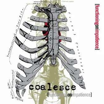 Functioning on Impatience by Coalesce