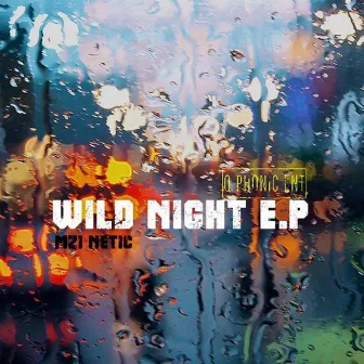 Wild Night by Mzi Netic