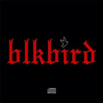 BlkBird by Lund