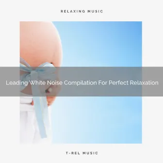 Leading White Noise Compilation For Perfect Relaxation by Baby Sleep Aid