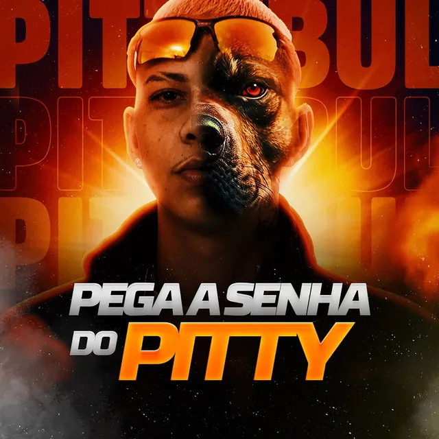 Pega A Senha Do Pitty