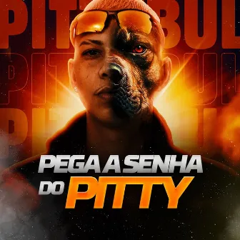 Pega A Senha Do Pitty by Pittybull