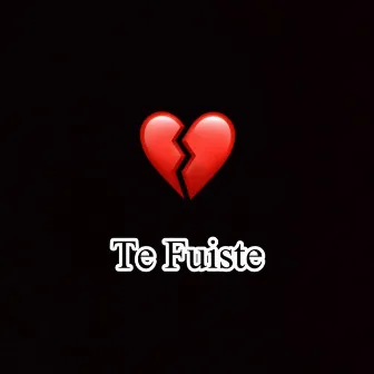 Te Fuiste by Preis