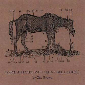 Ride The Sick Horse by Zac Brown