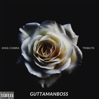 Tribute by King Cobra