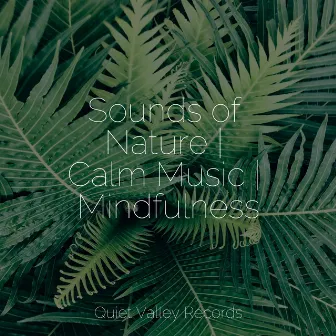 Sounds of Nature | Calm Music | Mindfulness by Music For Absolute Sleep