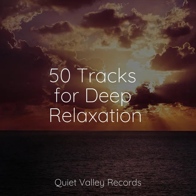 50 Tracks for Deep Relaxation For Dogs