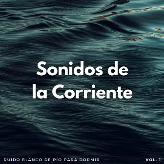 Sonidos De La Corriente: Ruido Blanco De Río Para Dormir Vol. 1 by Música para que los niños duerman