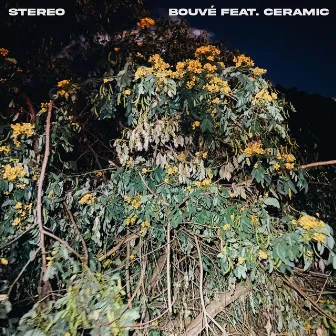 Stereo by Bouvé