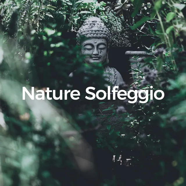 Nature Solfeggio (Harmony of the Elements)