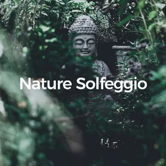 Nature Solfeggio (Harmony of the Elements) by Momento