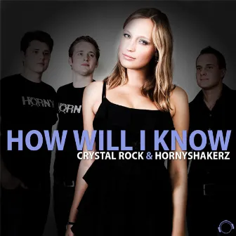 How Will I Know (Remix Bundle) by Unknown Artist