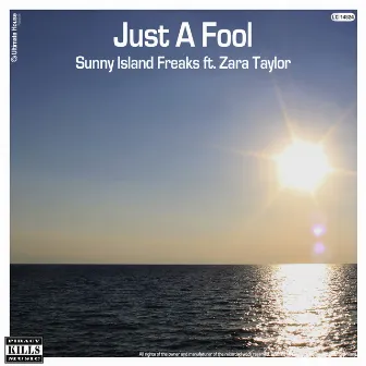 Just a Fool by Sunny Island Freaks