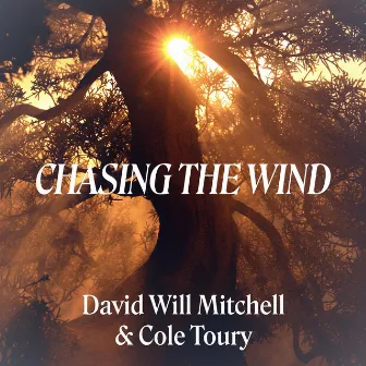 Chasing the Wind by Cole Toury