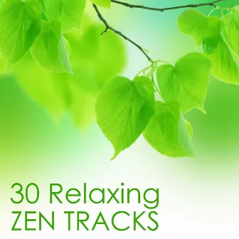 30 Relaxing Zen Tracks - Relaxation Meditation Music by Unknown Artist