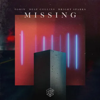 Missing by Beau Collins