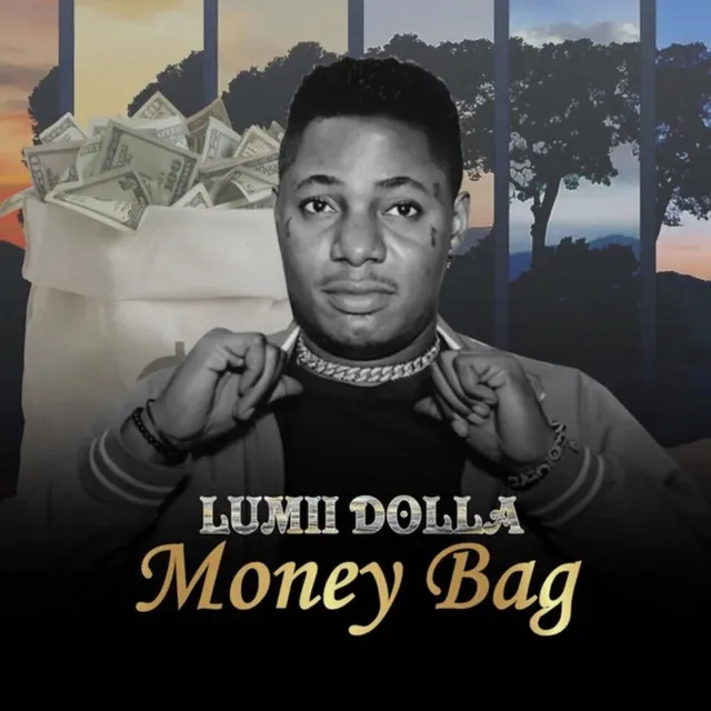 Money Bag