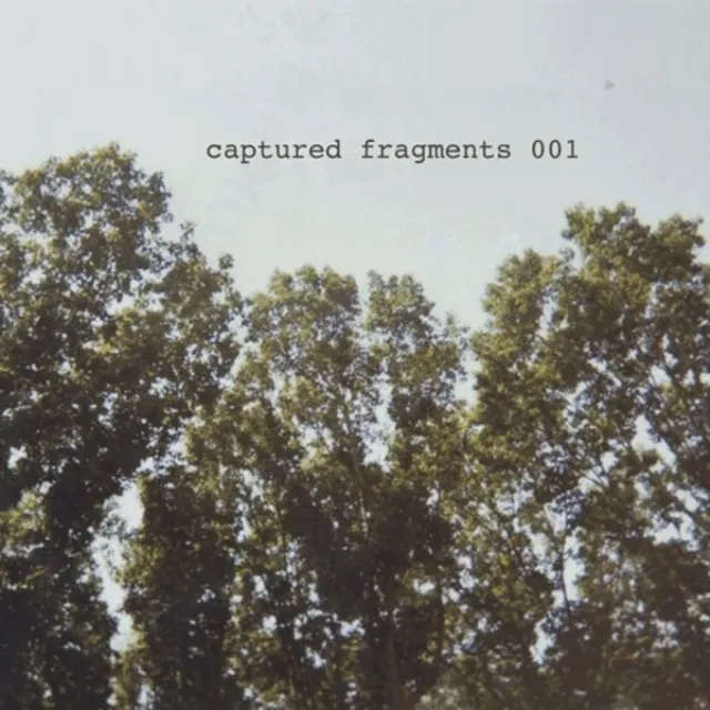 Captured Fragments 001: LTS