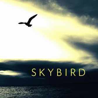 Skybird (Rough Cloud Mix) by Crystin