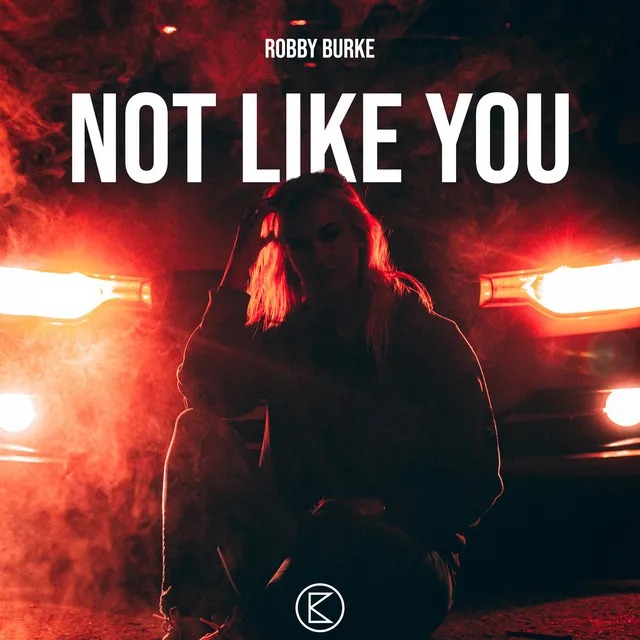 Not Like You - Radio Edit