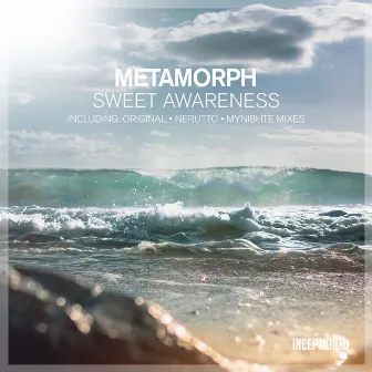 Sweet Awareness by Metamorph