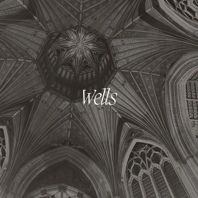 Wells - Live