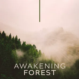 Awakening Forest: Morning Yoga for Abundance, Floating Energy Meditation, Nature Sounds by Abundant Nature Zen