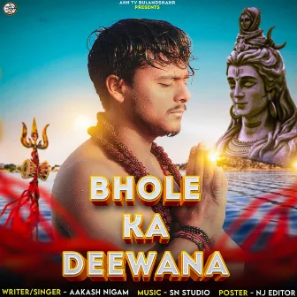 Bhole Ka Deewana by Aakash Nigam