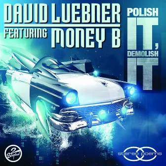 Polish It, Demolish It by David Luebner