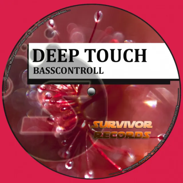 Deep Touch