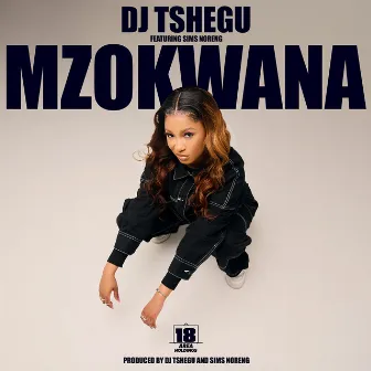 Mzokwana (feat. Sims Noreng) by DJ Tshegu