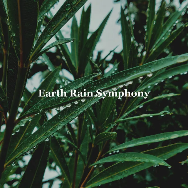 Earth Rain Symphony