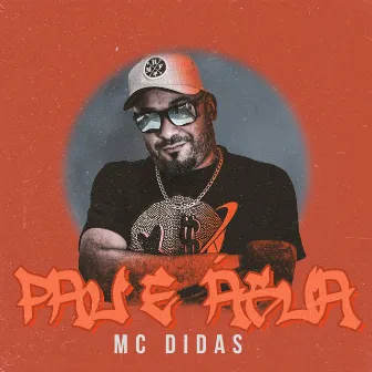 Pau e água by Mc Didas