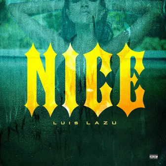 Nice. by Luis Lazu