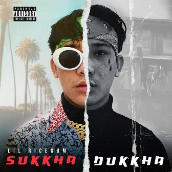 Sukkha Dukkha by Lil Ricegum