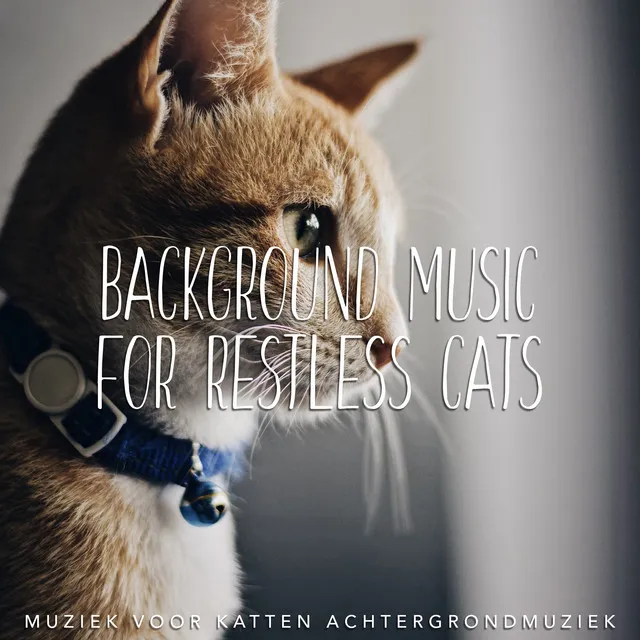 Background Music for Restless Cats