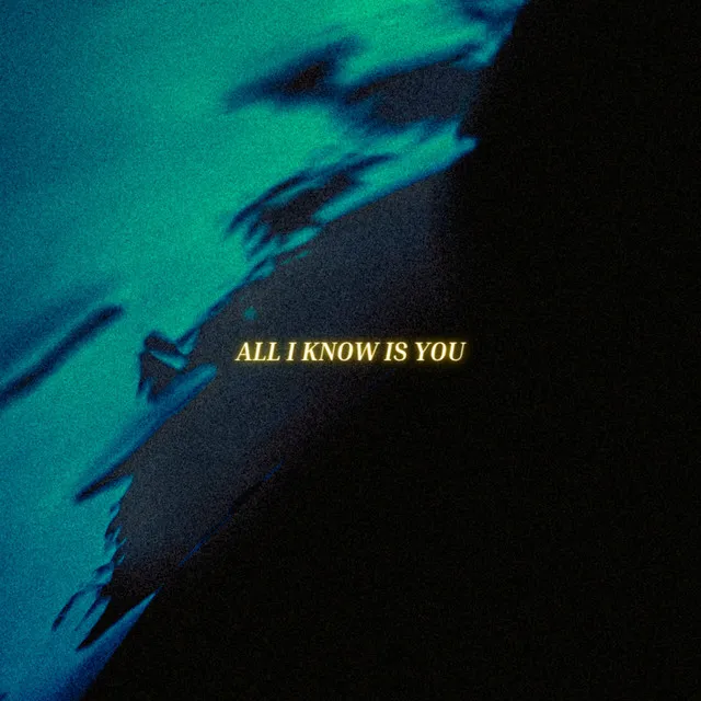 All I Know Is You