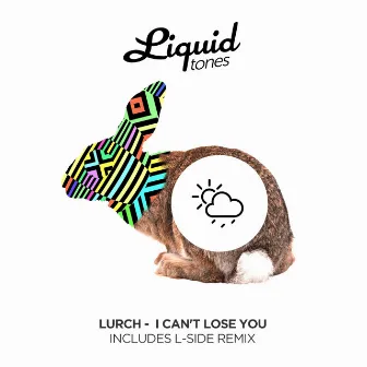 I Can't Lose You by Lurch