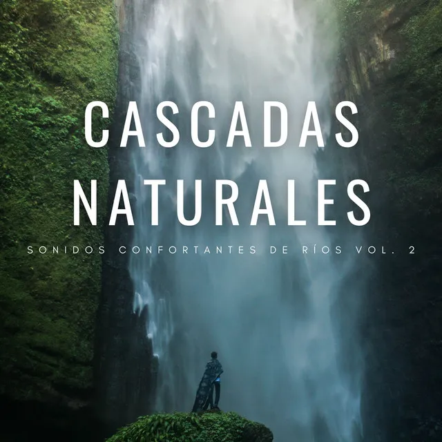 Cascadas Naturales: Sonidos Confortantes De Ríos Vol. 2