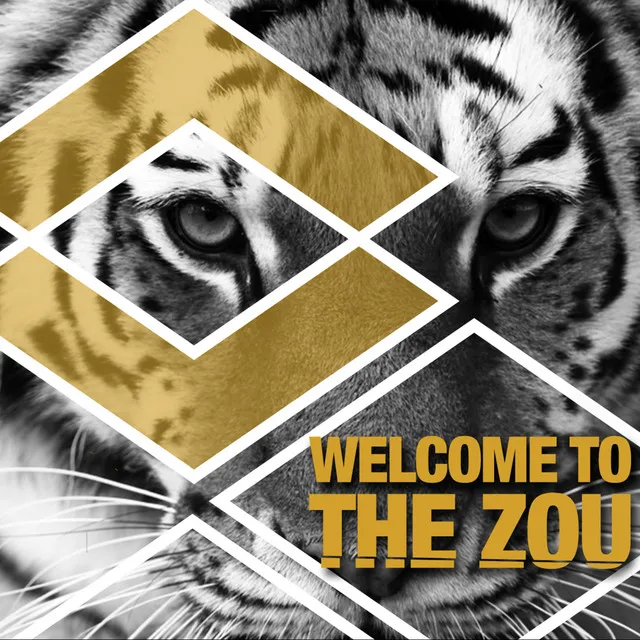 Welcome to the Zou