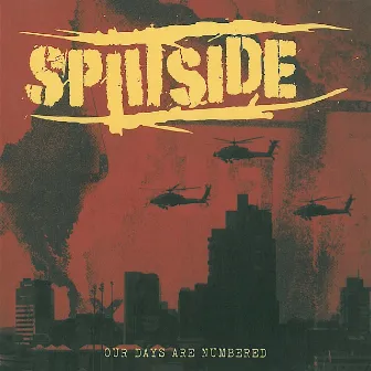 Our Days Are Numbered by Splitside