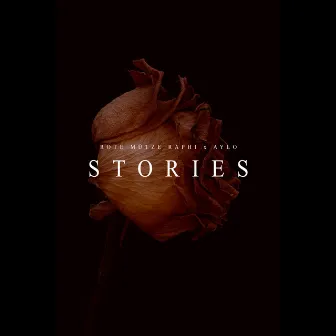 Stories by Aylo