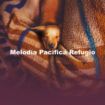 Melodía Pacífica Refugio by Serenidad Academy